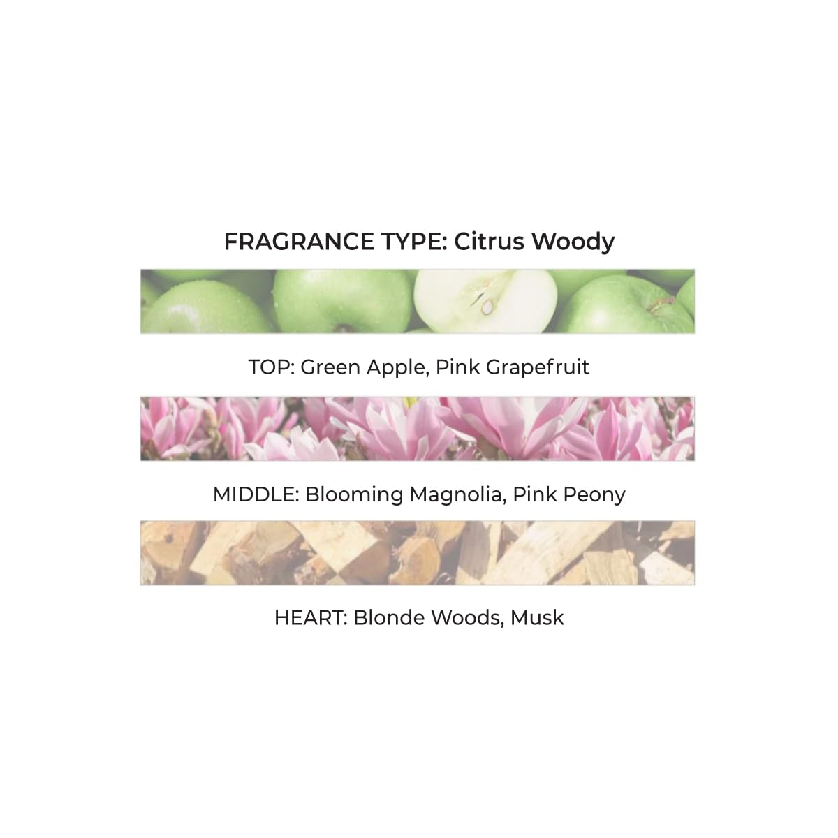 Michel Germain Emily in Paris Romantic Hair & Body Perfume Mist 8oz