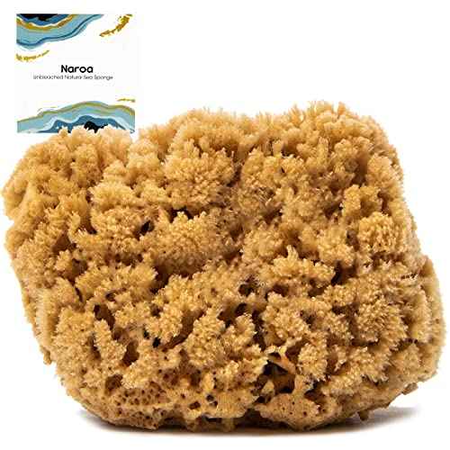 Naroa Massage Natural Shower Sponge Large | Unbleached Body Scrubber Puff | Bath Sea Loofah for Healthy Skin | Sustainable Plastic Free (L)