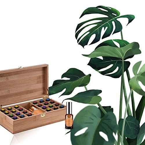 VolksRose Essential Oil Box Organizer, Premium Multi-Tray Essential Oils Storage Container Holds 25 Bottles, Natural Bamboo Aromatherapy Holder Carrying Case (5mL - 20mL)&100ml