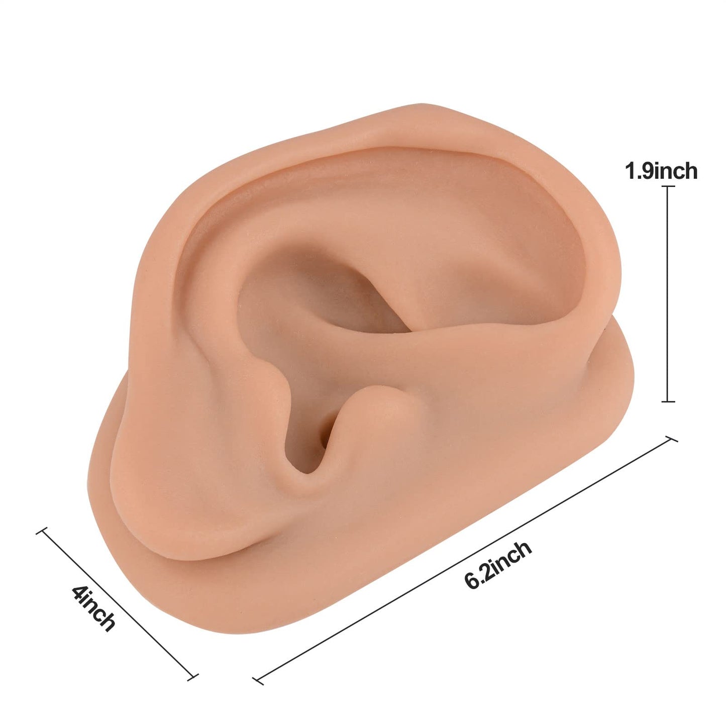 Acupuncture Ear Model, Right Artificial Ear Replica for Auricular Therapy Teaching, Silicone Ear Simulator Acupuncture Practice Authentic Human Ear Simulation