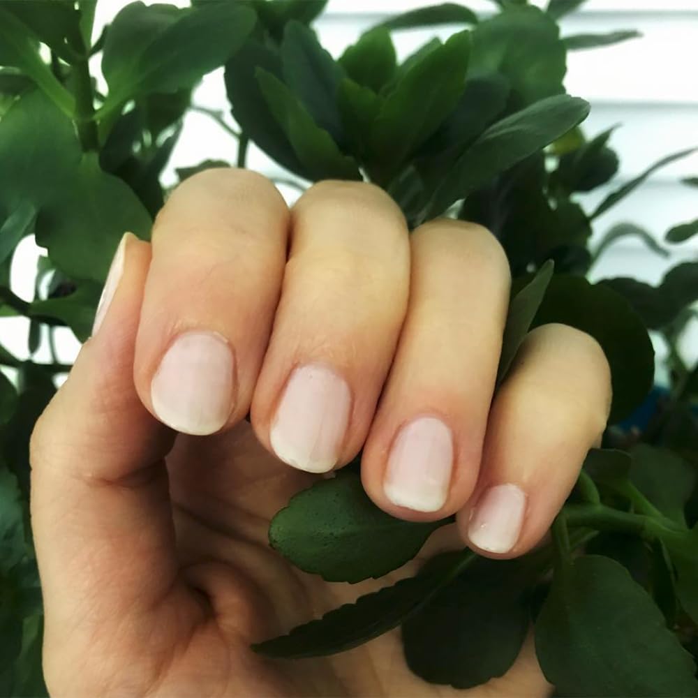 Dazzle Dry Nail Lacquer - Rose Quartz Semi-Sheer Peach Polish | 0.5 Fl Oz