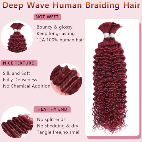 Human Braiding Hair for Boho Braids 18inch Deep Wave Bulk Human Hair for Braiding Knotless 12A 100% Unprocessed Brazilian Virgin Hair Extensions Bulk Bohemian 2 Bundles 99J Color