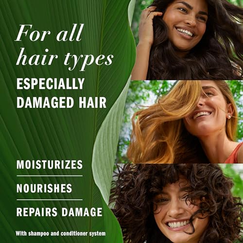 Herbal Essences Argan Oil Repair Shampoo & Conditioner Set, Moisturizes & Smoothes, Paraben-Free, Color-Safe, pH-Balanced, Citrus Scent, 20.2 Fl Oz, 2-Pack