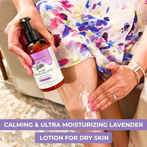 RaGaNaturals Lavender Shea Butter Hand and Body Lotion, 8 Fl Oz - Moisturizing, Plant-Based, Vegan, with Argan, Avocado Oil & Vitamin E