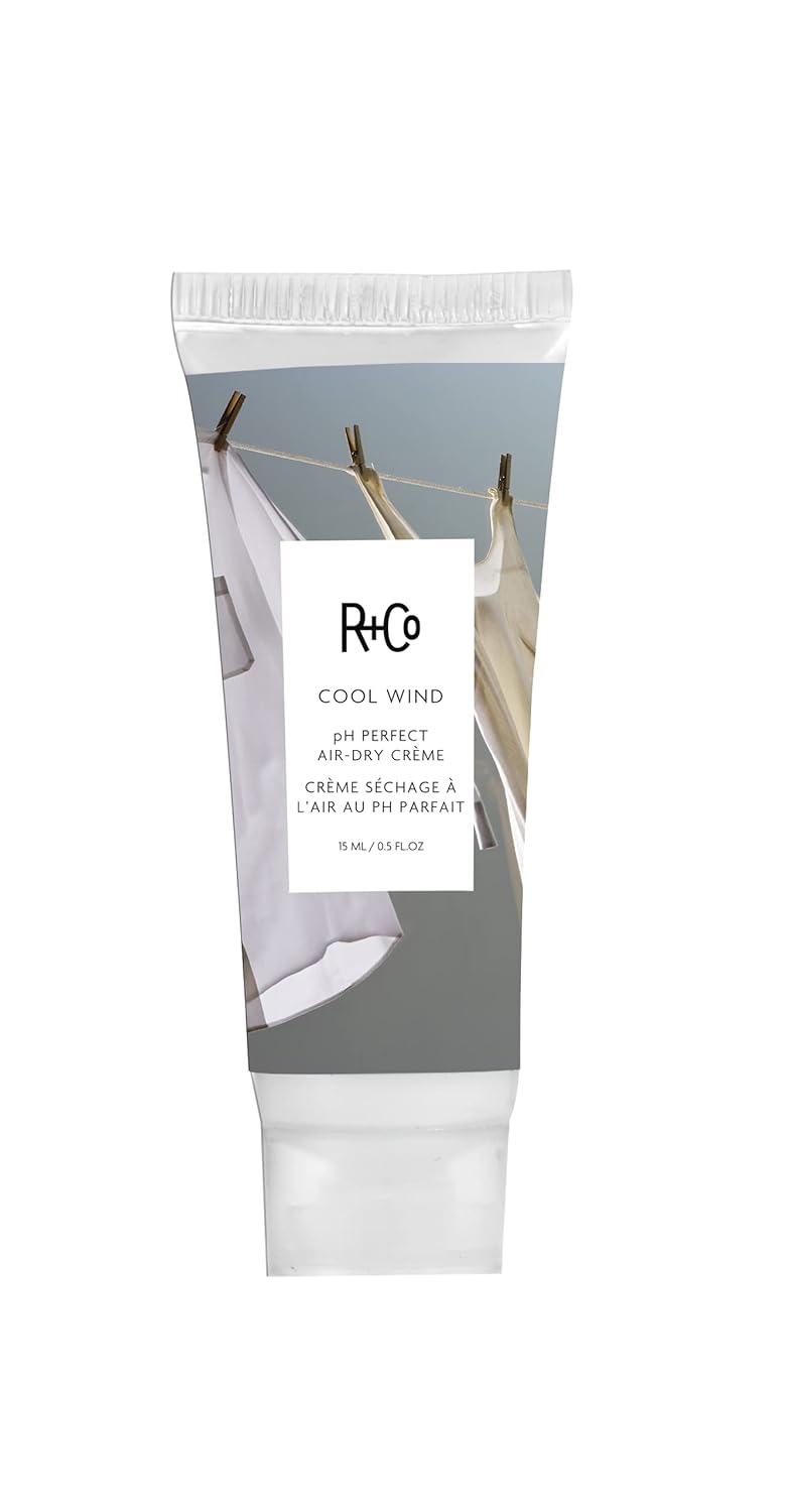 R+Co Cool Wind pH Perfect Air Dry Hair Cream | Hydrates + Tames + Softens | Vegan + Cruelty-Free |