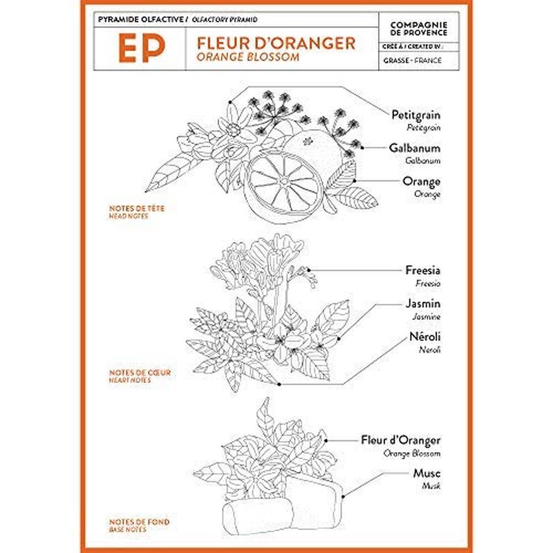 Compagnie de Provence Liquid Marseille Soap - Orange Blossom Scent - 16.7 Fl Oz Glass Pump Bottle