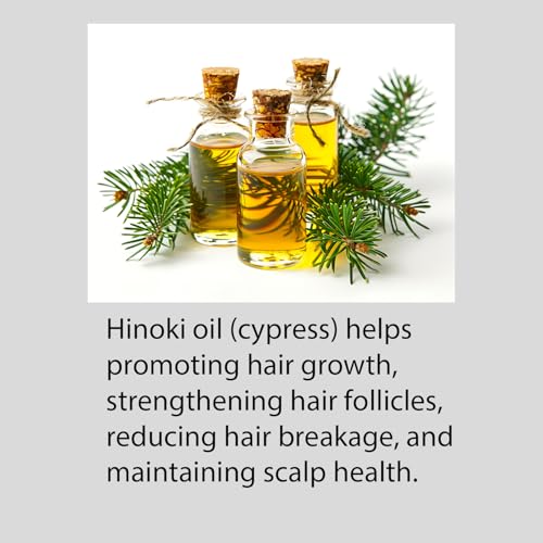 Hayashi Hinoki Conditioner, 33.8 Fluid Ounce