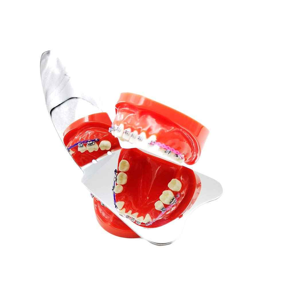 Sino Dental Intraoral Mirrors Dental Photography Mirror Double Side Photographic Reflector,Anti- sctraching Surface,Rhodium Plated