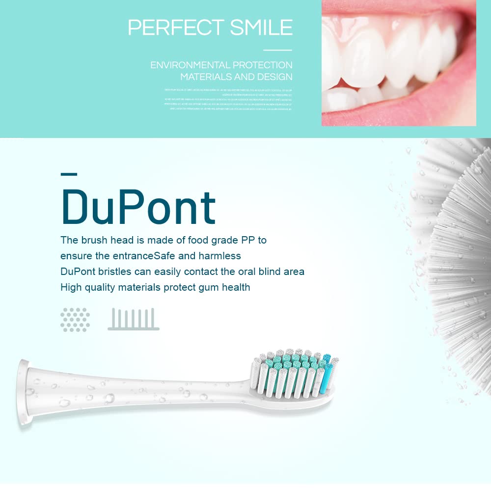 NEDIFON Replacement Toothbrush Heads Compatible with Philips Sonicare Electric Toothbrush, 8 Pack