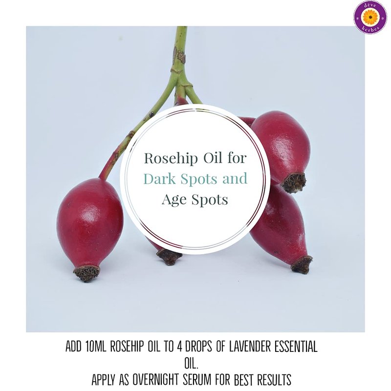 dève herbes Rosehip Oil (Rosa rubiginosa) | Cold Pressed | Pure | Natural | Undiluted | For Diluting Essential oils | For Skin & Massage | Non-Sticky| Lightweight| Men & Women | 50ml (1.69 oz)