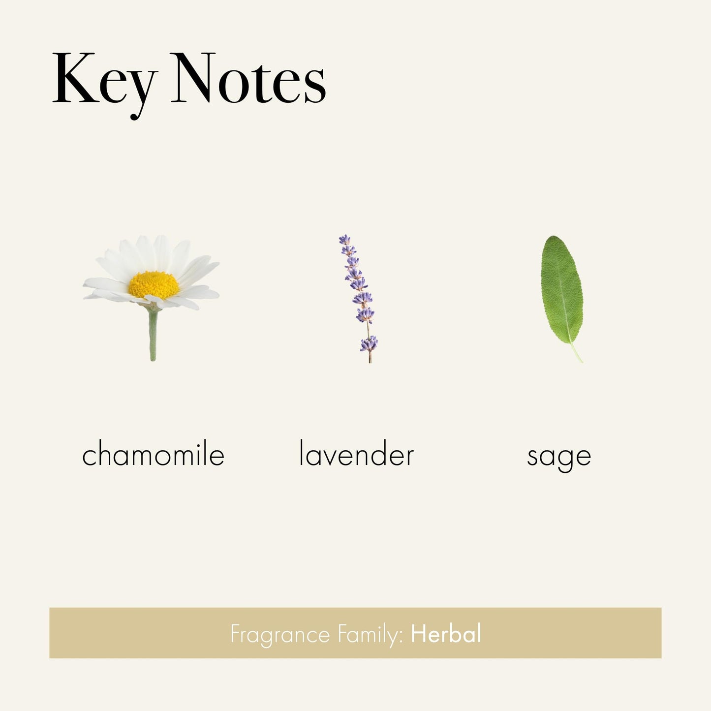 LAFCO New York Hand Cream, Chamomile Lavender - 12 oz - Restores & Repairs Skin - All Skin Types - Hypoallergenic, Synthetic Free & Cruelty Free - Made in Italy