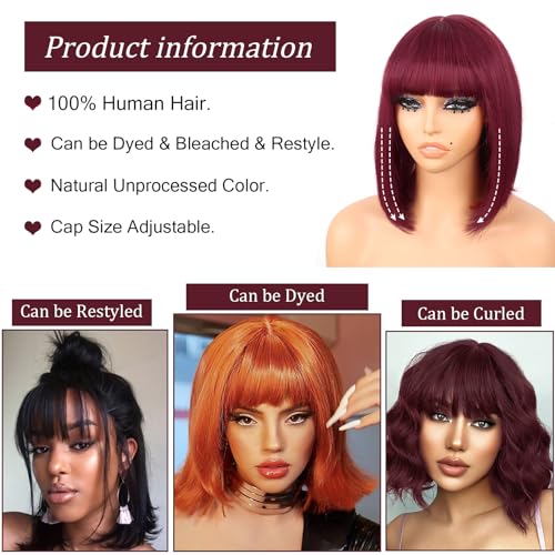 G&T Wig 99J Burgundy Straight Human Hair Lace Bob Wig With Bangs Realistic Look 2x1 HD Lace Glueless Wigs Blunt Cut 12 Inch Short Straight Human Hair Wigs for Black White Women