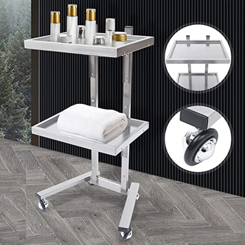 2 Tier Metal Rolling Cart, Stainless Steel Salon Tray with Wheels, Foldable Utility Carts, Folding Salon Tray Trolley, Rolling Tray Salon Trolley for Tattoo (Silver)