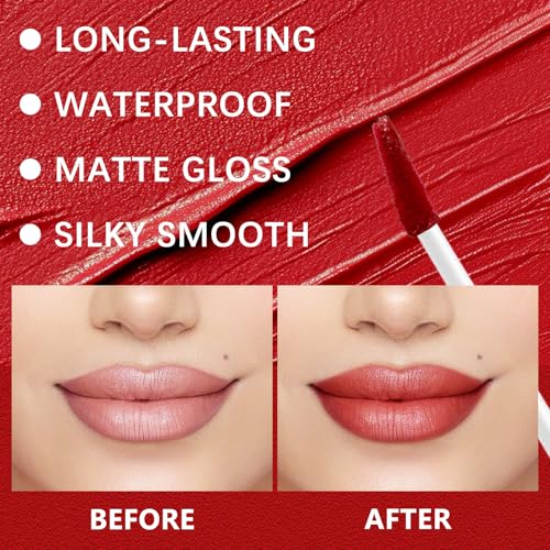 QueenDiary Lip Gloss and Liner Makeup Set, Lifter Gloss and Lifter Liner in Petal and Line Leader Shades (Lively and dynamic)