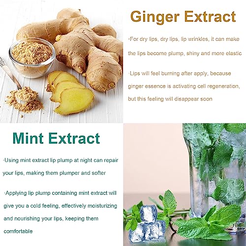 Lip Plumper Set - Lip Plumper Extreme - Plumping Lip Gloss - Lip Enhancer Plumper - Lip Moisturizer for Dry Lips - Lip Filler Plumper - Volumize Lips Instantly for Thicker & Fuller Lips1