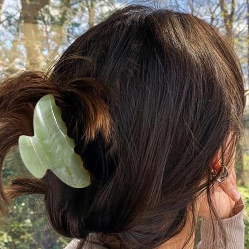 CAKURE Claw Clips Acrylic Hair Clips Medium Claw Clip Hair Accessories for Women (Pack of 2)