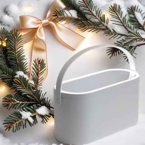 Travel Makeup Box with LED Lighted Mirror, Multi-purpose Cosmetics Box Carrying Case Women's Dat Gift, White, Travel Size (Instruction included)
