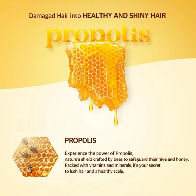 Kerasys Royal Propolis Hair Treatment - Original Repair Formula | 33.8 fl oz (2-Pack)