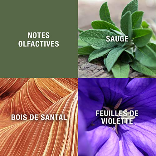 GEOFFREY BEENE Grey Flannel Toilettes Spray Ounce, Eau De Toilette, 4 Fl Oz