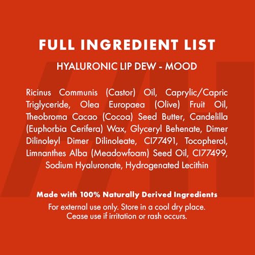 Handmade Heroes 100% Natural Vegan Tinted Lip Gloss with Hyaluronic Acid - Lightweight Moisturizing Soft Lipstick for Dry Lips - Mood (Dark Red)