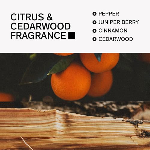 Aluminum-Free Deodorant for Men by Bravo Sierra, 2-Pack - Contains Natural Ingredients ? Long Lasting Odor and Sweat Protection - Citrus & Cedarwood, 3.2 oz - Paraben-Free, Vegan & Cruelty-Free