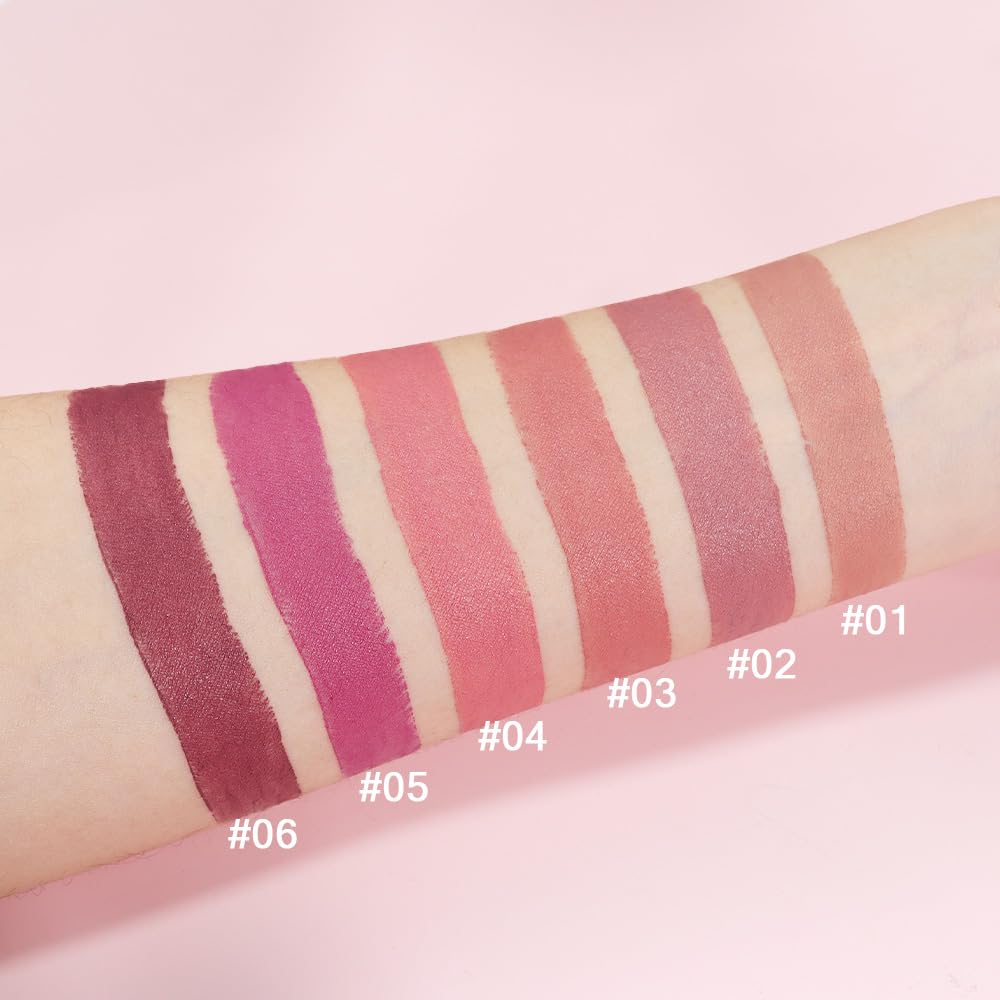 ORANOT 6 Pcs Nude Pink Brown Rose Red Purple Matte Lipstick Set for Women Long Lasting Waterproof Moisturizing Lipsticks for Older Women 24 Hours Lip Stick Lip Stain Makeup Gift Kit,Lip Makeup Vegan