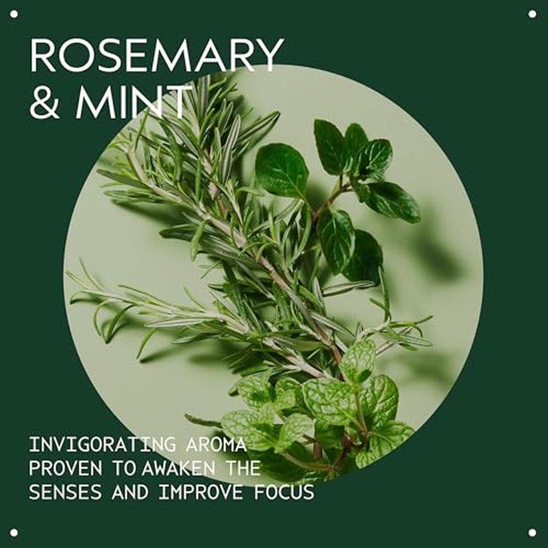 Aveda Rosemary Mint Body Lotion | Lightweight Cooling Lotion with Menthol | with Invigorating Aroma of Certified Organic Peppermint & Rosemary, 6.7 Fl Oz