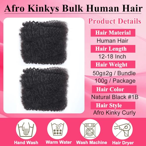 Afro Kinkys Bulk Human Hair for Braiding 2 Bundles 16 Inch 100g Afro Kinky-Curly Human Hair Bulk for Twist No Weft 4c Kinky Curly Bundles for Braids Micro Locs Dreadlock Extensions Nature Black