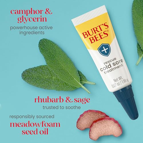 Burt's Bees Stocking Stuffers, Cold Sore Treatment and Medicated Lip Balm, With Menthol and Eucalyptus Oil, Natural Origin Skincare, 2 Tubes, 0.07 oz./0.15 oz.