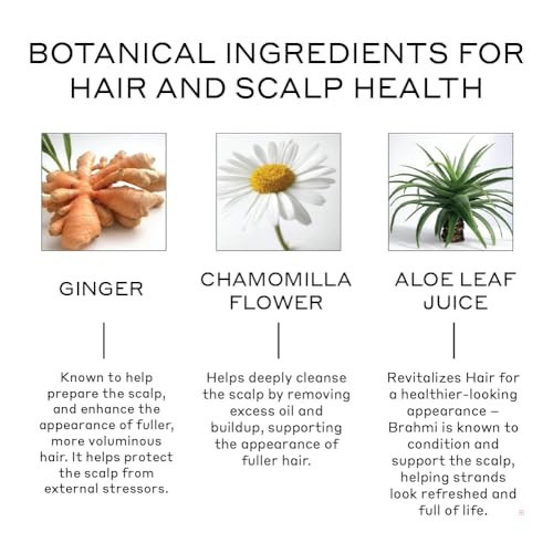 ZENAGEN Revolve Conditioner (Unisex) | Supports Scalp Health & Appearance of Fuller, Healthier Hair, Developed for Fine & Visibly Thinning Hair, Plant-Based, Color-Safe, Vegan