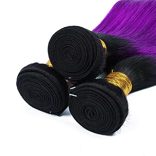 Ombre Purple Straight Bundles Black To Purple Human Hair 3 Bundles Brazilian 100% Unprocessed Virgin Extensions Double Weft Bundle 10 12 14 Inch
