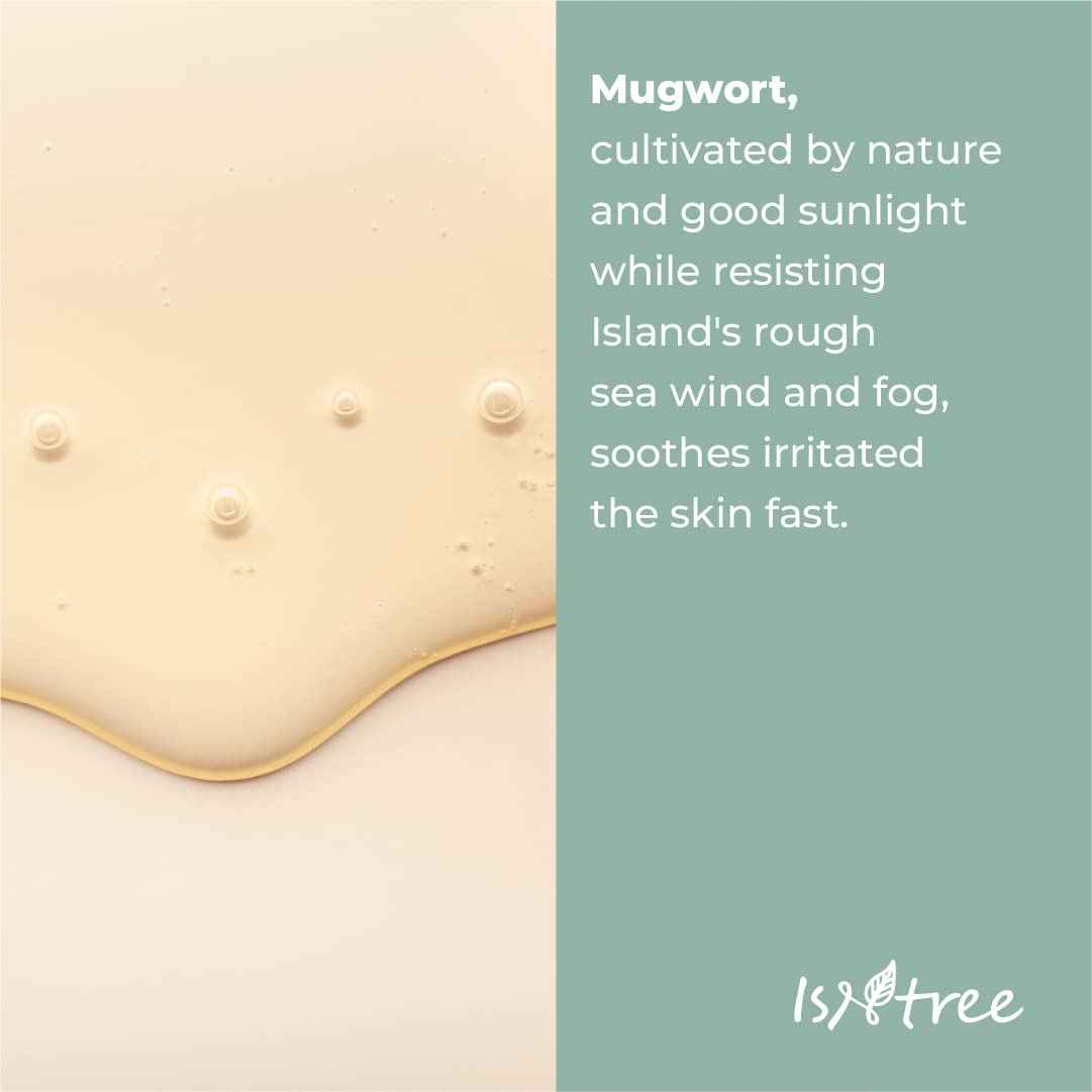 ISNTREE Mugwort calming Ampoule 50ml 1.69 fl.oz | Soothes sensitive skin | Replenishes moisture