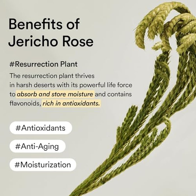 Vegan Collagen Eye Patch & Jericho Rose Jelly | Overnight Mask for Radiant Skin