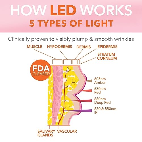 Dr Dennis Gross DRx SpectraLite LipWare Pro