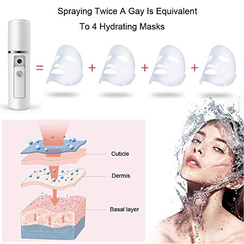 Nano Facial Mister Moisturizing Atomization Humidifier Cool Mist Facial Steamer Handy Mist Sprayer Moisturizing & Hydrating for Skin Care, Makeup, Eyelash Extensions (White)