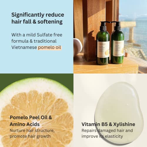 Cocoon Pomelo Essential Oil Conditioner with Xylishine & Amino Acid, Hair Growth for Thinning Hair, Organic Conditioner No Sulfate, Vegan to Soften, Reduce Loss & Volumize Hair Growth