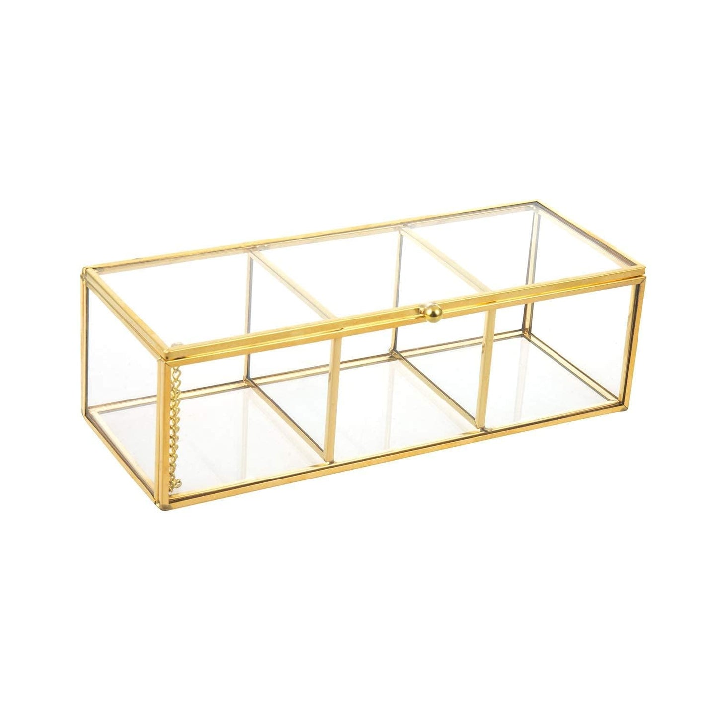 Feyarl Gold Glass Tea Bags Box Sea Shell Display Organizer Cosmetics Countertop Canister Box Jar Storage Glass Jewelry Trinket Ring Earring Box Container for Girl Women Gift
