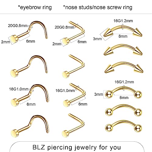 BLZ Piercing Kit Stainless Steel Piercing Needles 20G 18G 16G 14G 12G Belly Button Ring Ear Nose Septum Piercing Jewelry with Clamps Gloves Piercing Tools for Body Piercing
