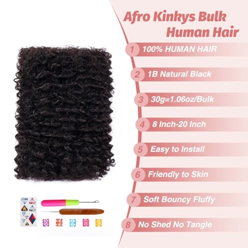Afro Kinkys Bulk Human Hair for Mini Twist Braiding Braids Locs Dreadlock Extensions Afro Kinky-Curly Human Braiding Hair Bundles For Men Women Kids 16 Inch 2 Bulks 60g #1B Natural Black Soft Fluffy