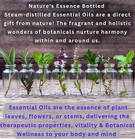 Handmade Goat Milk Soap set of 2 bars- BOGUE No.34 WELLNESS Calm Down blend with essential oils of Lavender, Frankincense, Clary Sage & Calming Chamomile to help reduce stress