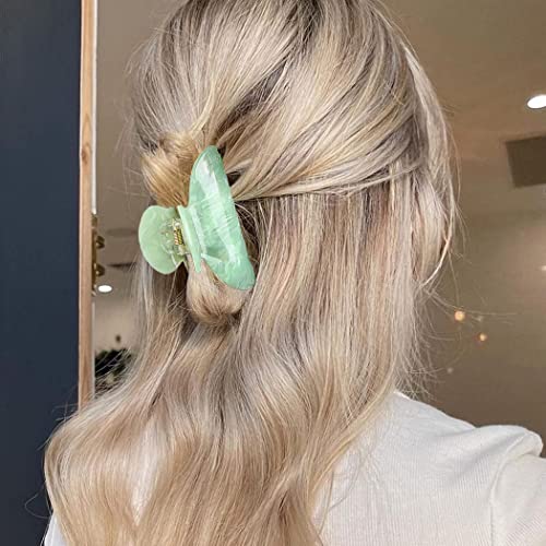 CAKURE Claw Clips Acrylic Hair Clips Medium Claw Clip Hair Accessories for Women (Pack of 2)