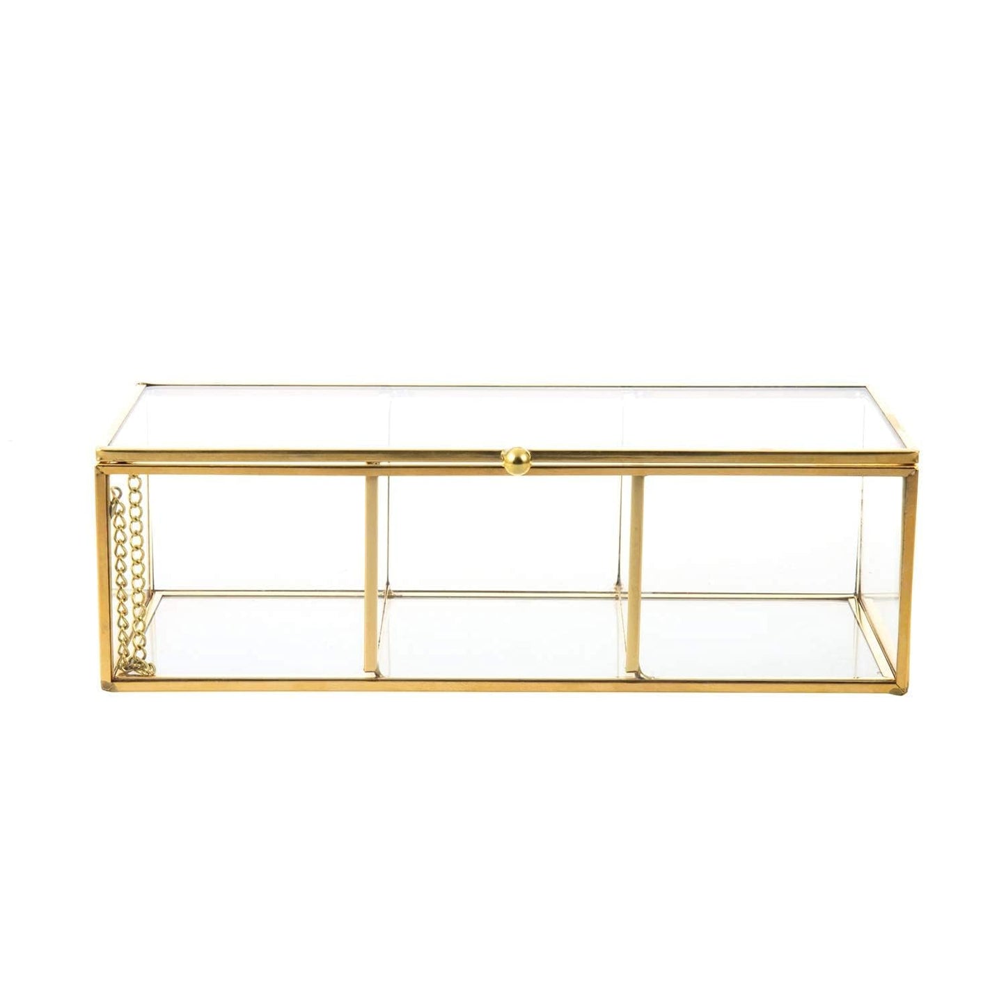 Feyarl Gold Glass Tea Bags Box Sea Shell Display Organizer Cosmetics Countertop Canister Box Jar Storage Glass Jewelry Trinket Ring Earring Box Container for Girl Women Gift