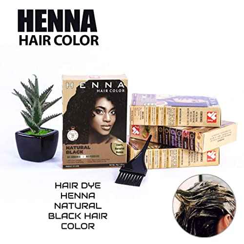 HENNA HAIR COLOR 30 Minute Enriched with Herbs Semi Permanent Powder - Harsh Chemical Free Black Hair Dye for Men and Women (Natural Black)