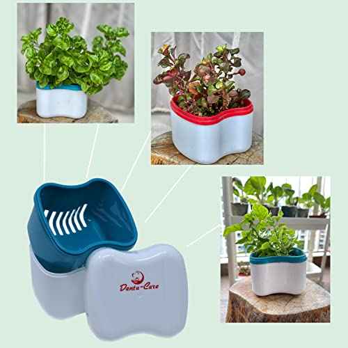 3 Minute Denture Cleaner 30 Tablets in Triplemint Bundle with Dentu-Care Denture Cleaning Cup Case With Lid Basket and Draining Basket for Cleaning and Storing