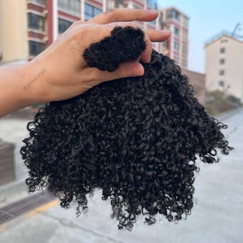 Afro Kinky Curly Bulk Human Hair Extensions Double Drawn Brazilian Virgin Braiding Hair For Boho Box Braids Afro Kinkys Crochet Hair Walnut hair 95-100g 24Inch 1Bundle