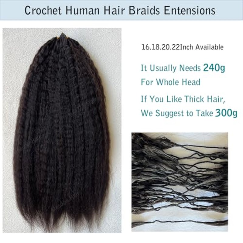 Kinky Straight Knotless Pre Separated Crochet Human Hair Extensions Pre Looped Braids Bundles With Threading Burmese Virgin Human Hair for Braiding Micro Link Meadow Hair 22inch 60g