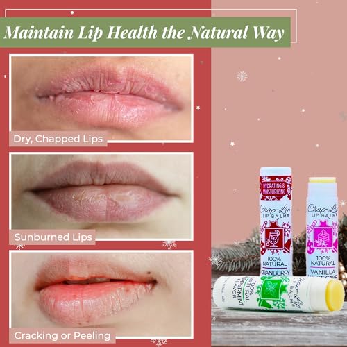 100% Natural Lip Balm Set - Beeswax Natural Christmas Gifts for Her - Ideal Gift for Women - Lip Moisturizer for Dry Lips, Cocoa Butter - Petroleum Free Pack of 24