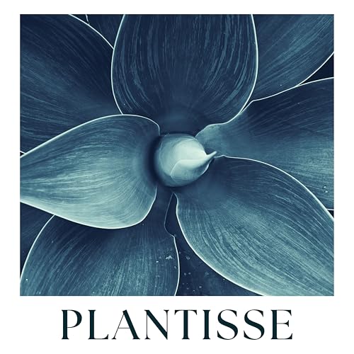 Ageless Boosting Serum: Rich In Vitamin C, Hyaluronic Acid, Centella Asiatica. Instant Hydration With Glycoin, Ectoin. Anti Wrinkle Firming Serum. Prebiotics.