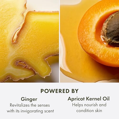 Origins Ginger Souffle Whipped Body Cream | Body Butter For Dry Skin | With Ginger