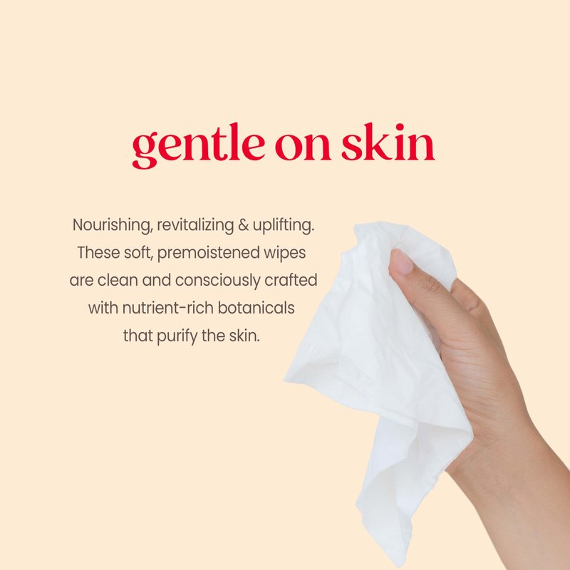 Burt's Bees Purifying Facial Towelettes With White Tea, Pre-Moistened Towelettes for All Skin Types, 99.1 Percent Natural Origin Skin Care, 10 ct. Package